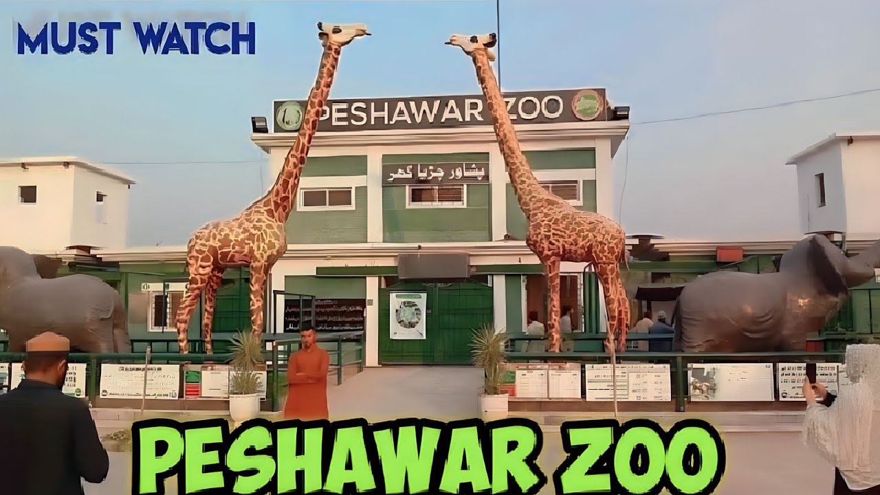 Peshawar Zoo || Wild Animals In Peshawar Zoo || Latest Video On Peshawar Zoo