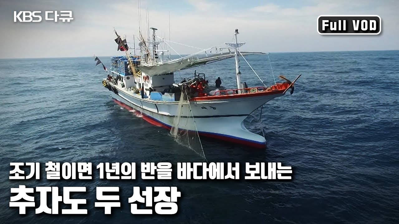 ⚓️연륜과 경험은 부족해도 젊은 패기 하나로 🐟조기와의 사투를 벌인다! '고향을 품다, 추자도 두 선장’ (KBS 20161022 방송)