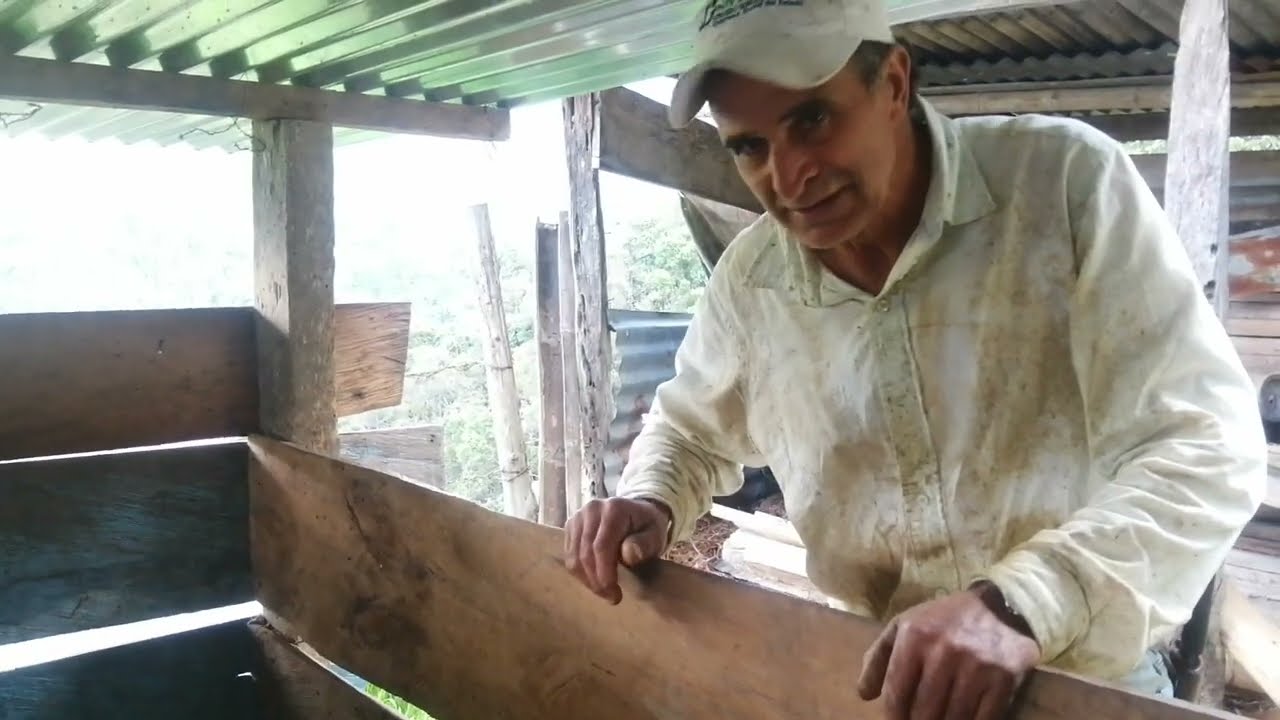 se vende finca, en resinas munisipio de Guadalupe