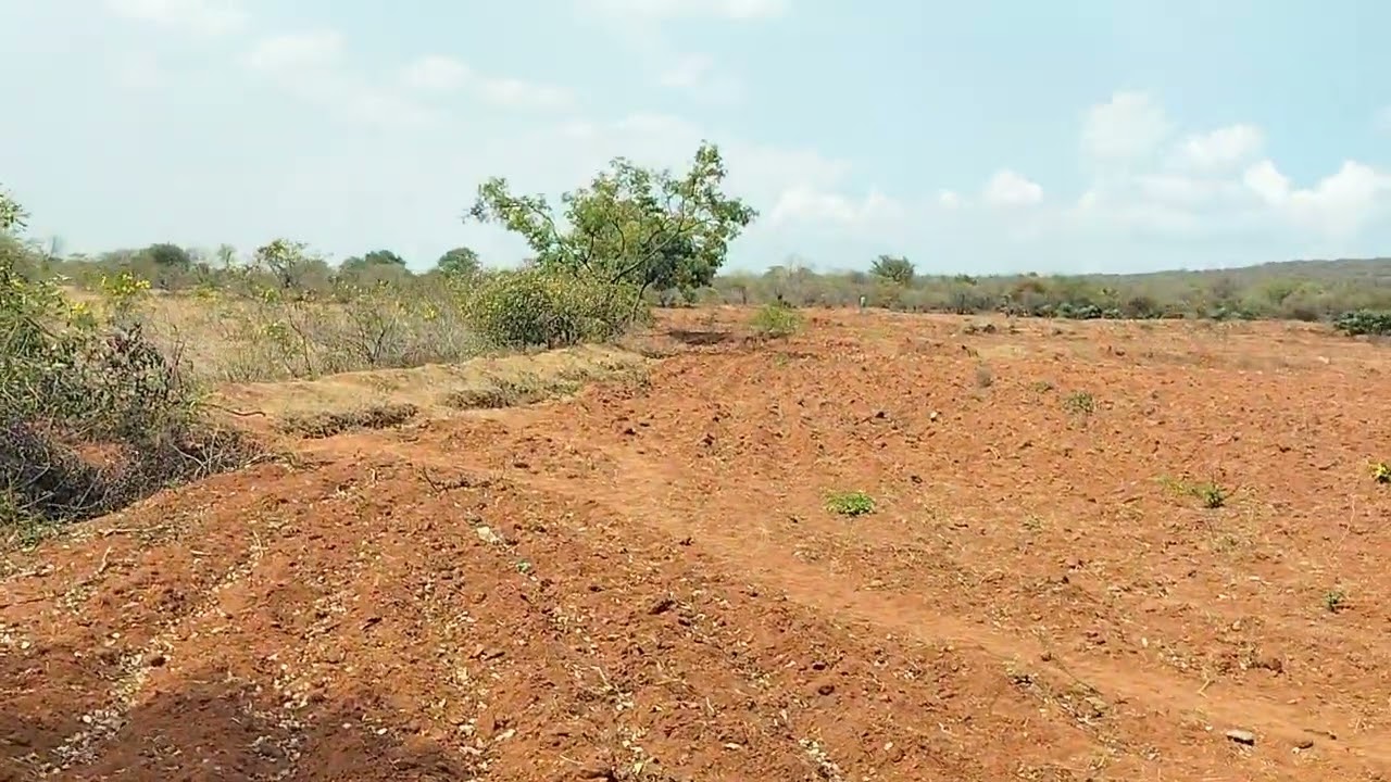 11 acre agriculture form land  22 lak for acr ph 8971607967.