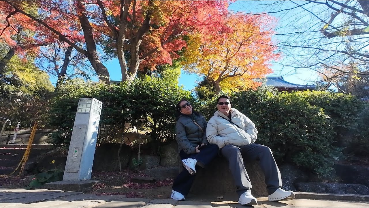 Tokyo Japan Trip (Dec 2025) Autumn Day 1