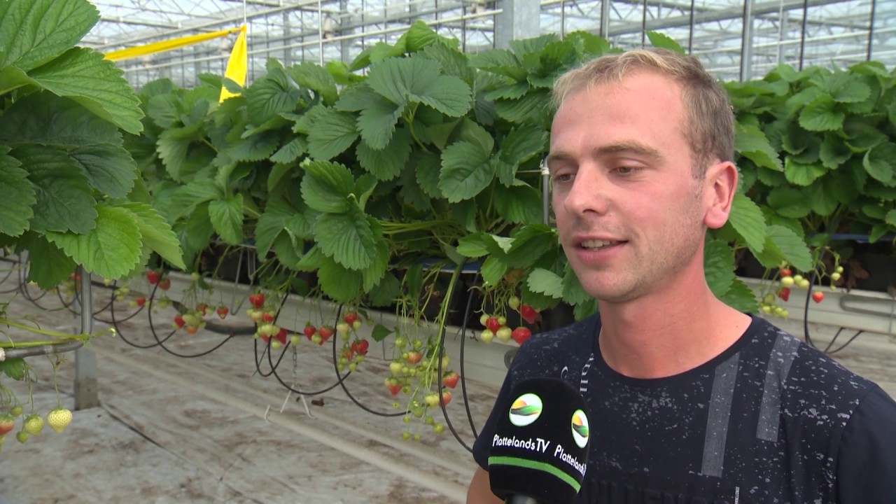 Schoon Boeren  2019