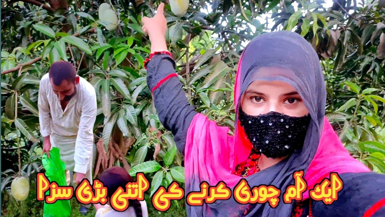 Productive evening routine in village|Village lifestyle|کاش یہ لمحہ یہی رک جائے|Zarifaimliyvlogsmg9