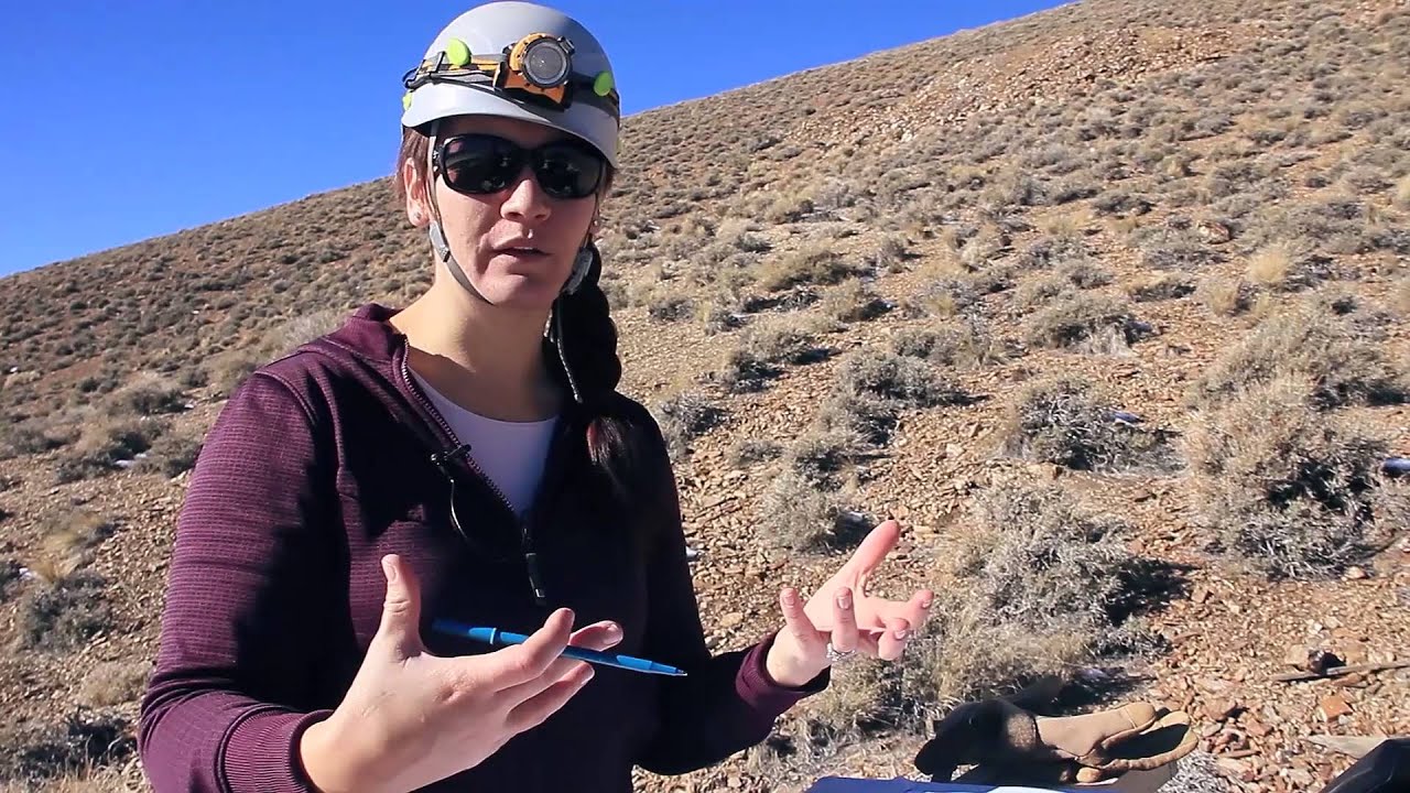 Death Valley Treasures - 2013