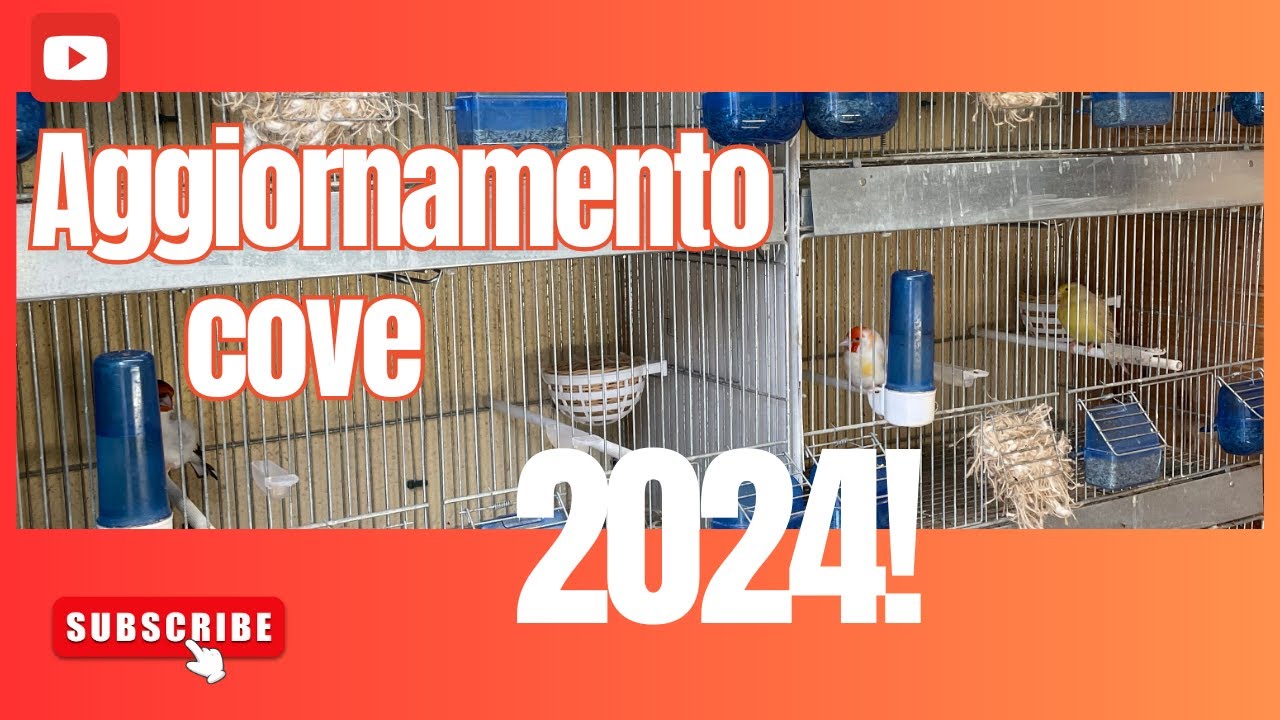 Aggiornamento cove 2024!