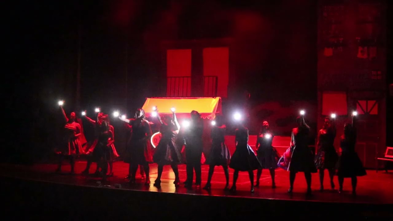 Falla Sant Antoni 24/25 Playbacks
