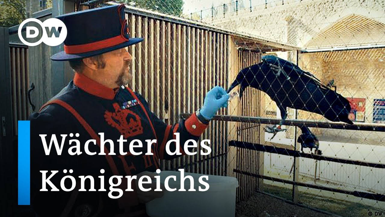 Der Rabenmeister vom Tower of London | DW News