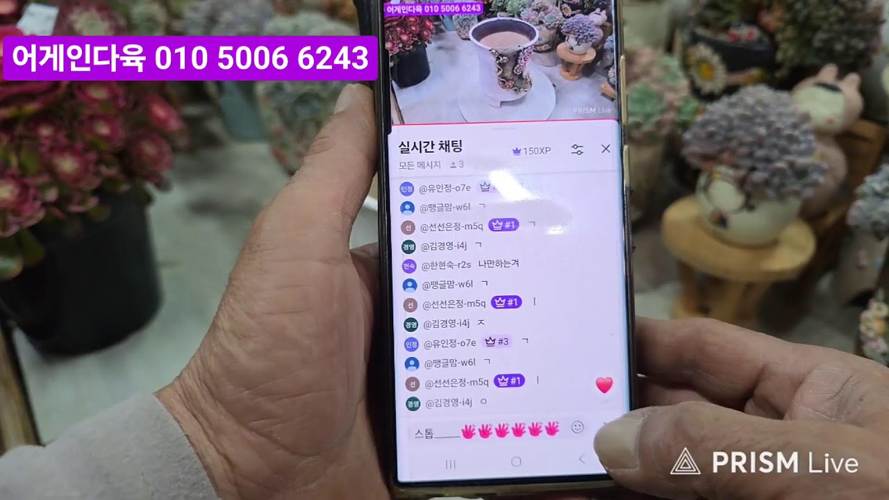 어게인다육 라이브) 2월20일 오후9시 에오니움