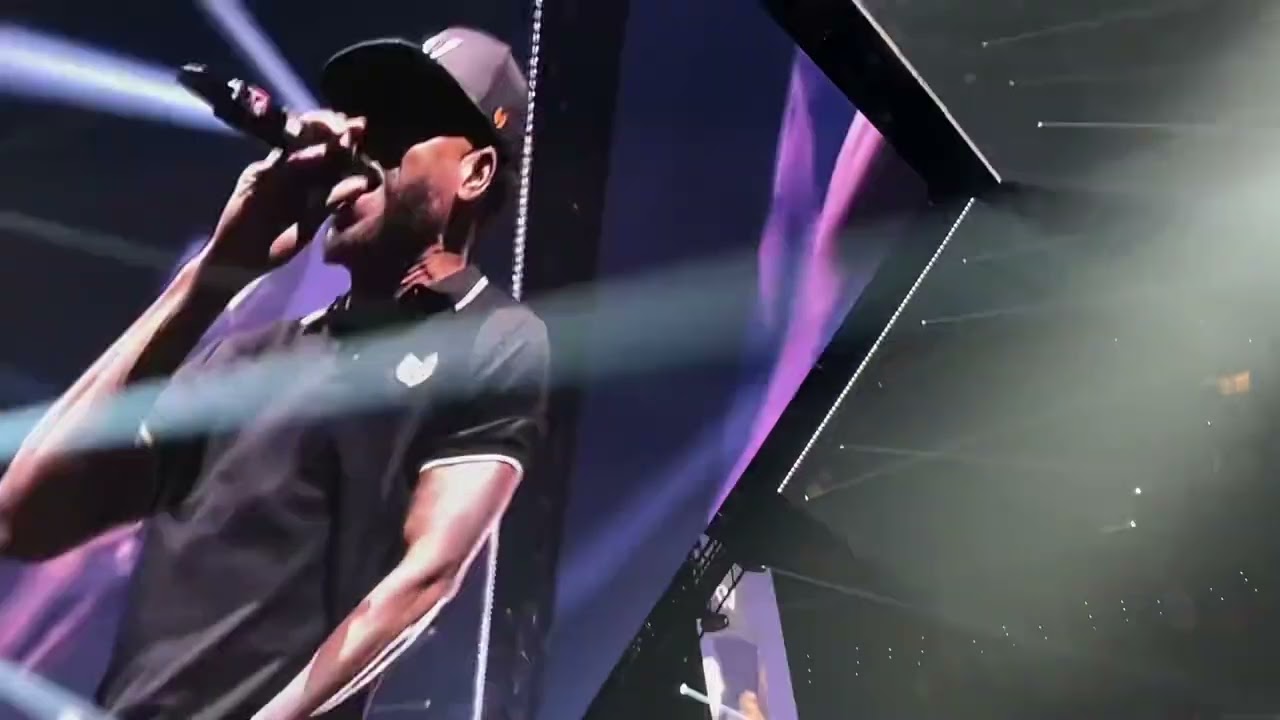 Wu-Tang Clan - Triumph (Live)