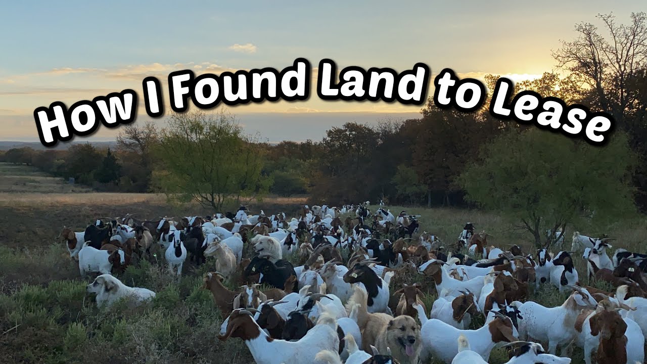 How I Found Land to Lease