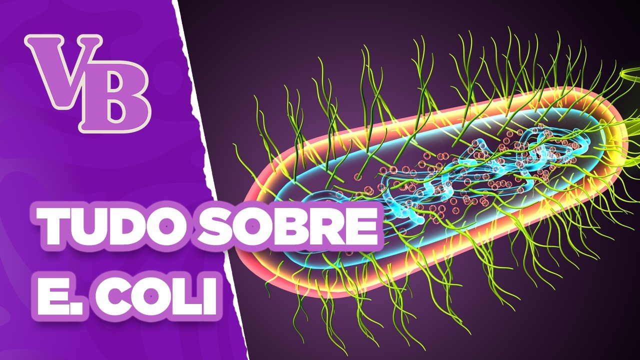 Conheça tudo sobre a bactéria E. coli - Você Bonita (23/09/2024)