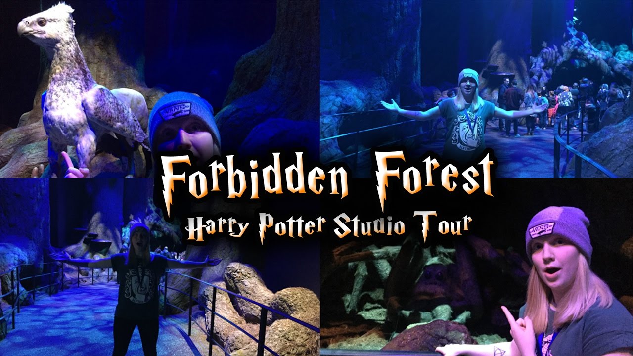Forbidden Forest Expansion (Harry Potter WB Studio Tour)
