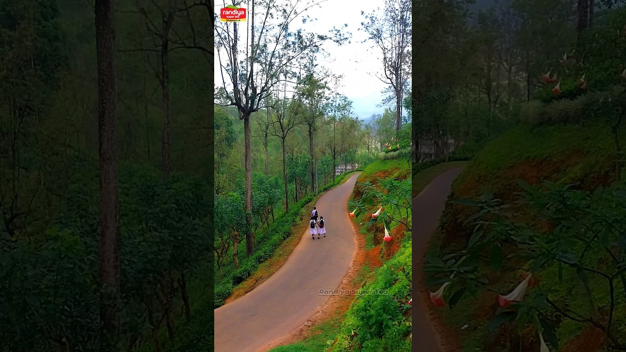 Nature’s Beauty Upcountry Sri Lanka 