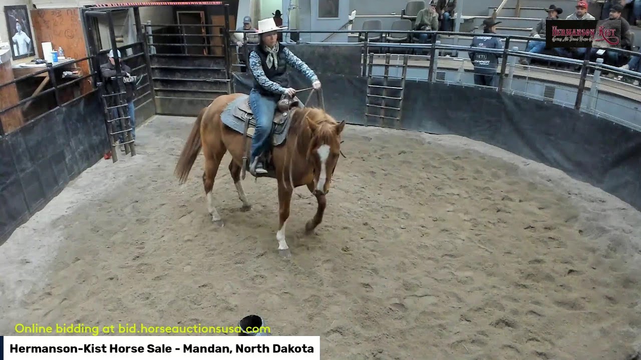 Hermanson-Kist Horse Sale  Mandan, North Dakota