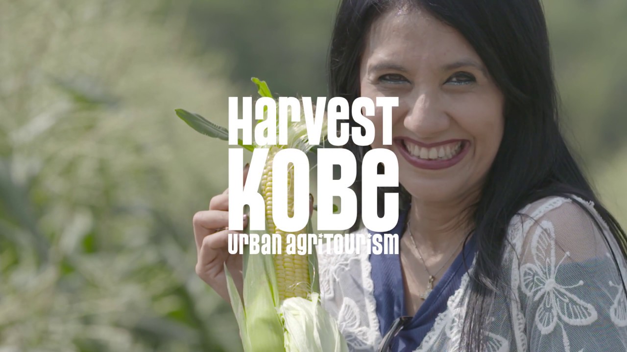HARVEST KOBE 