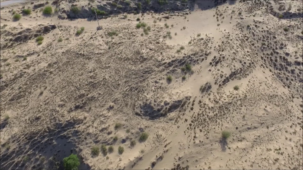 short fly in the desert gobi