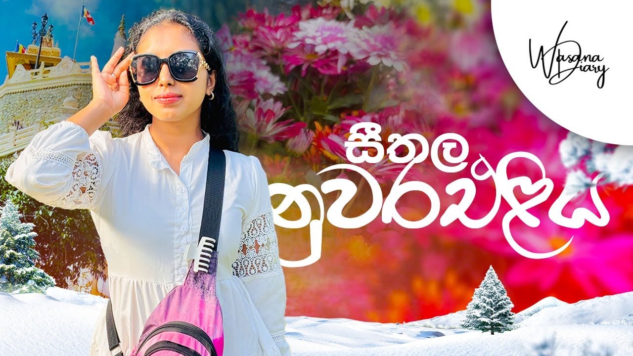සීතල නුවරඑළියෙ දවසක් 🙈❤️ | Nuwaraeliya Vlog | Wasana's Diary