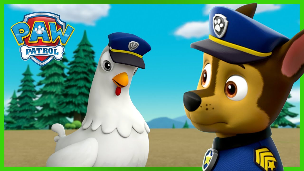 &iexcl;Chase y Chickaletta cambian de cuerpo! - Compilaci&oacute;n de PAW Patrol Episodio Espa&ntilde;ol Espa&ntilde;ol