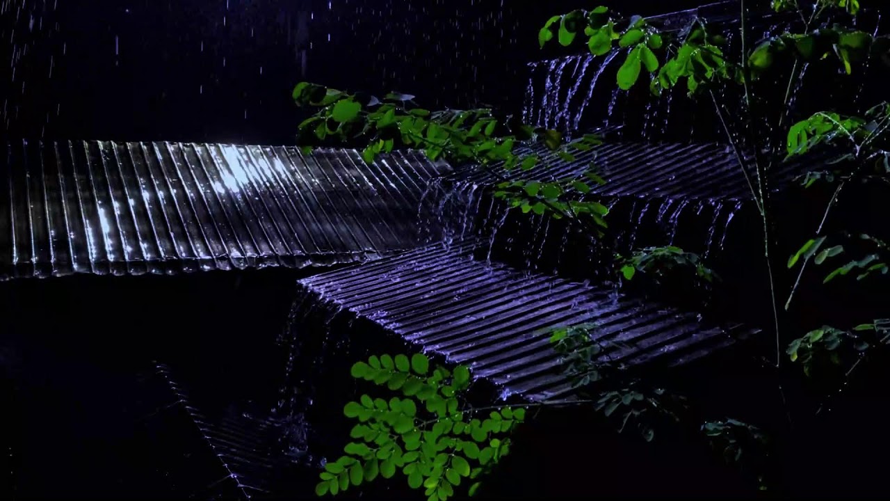 Sleep Better Tonight 🌙 Heavy Rain on Metal Roof – Live 10 Hours