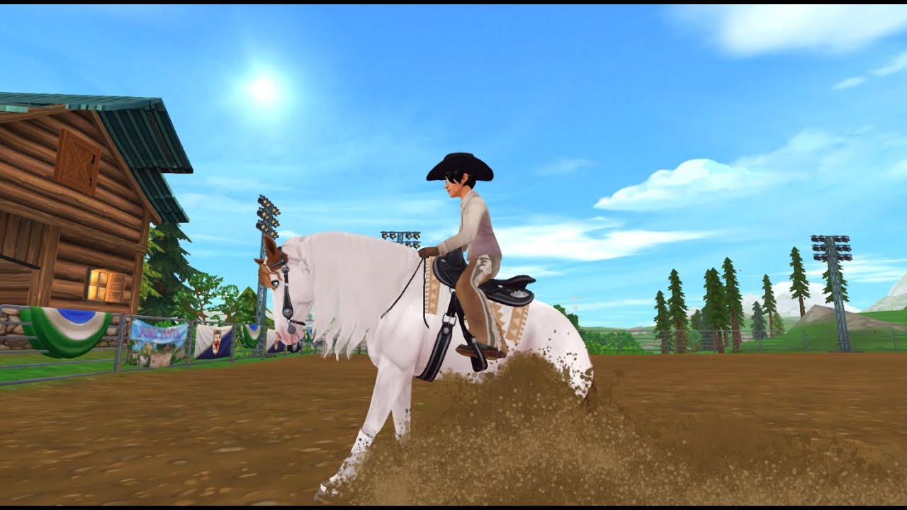 M&ouml;nster 13 Reining