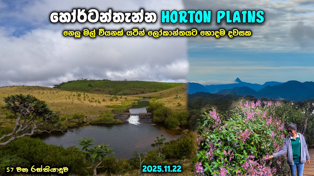 World’s End Trail | Horton Plains National Park | නෙලු මල් වියන් යටින් ලෝකාන්තයට හොදම දවසක 4K