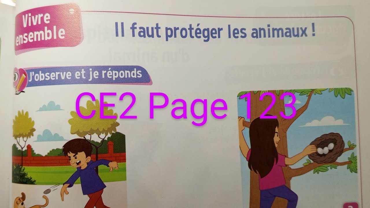 CE2 : Vivre ensemble : Il faut protéger les animaux !  page 123 Le trésor des mots