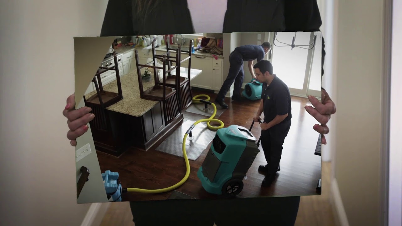 ServiceMaster Remediation Services: We are Here to Help