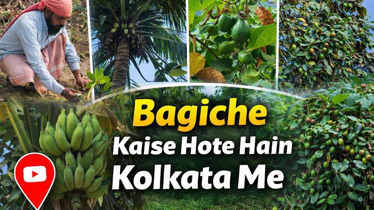 Bagicha of Kolkata | fruits vegetable and spices | everyone enjoy my vlog | the satyam diaries 🫶
