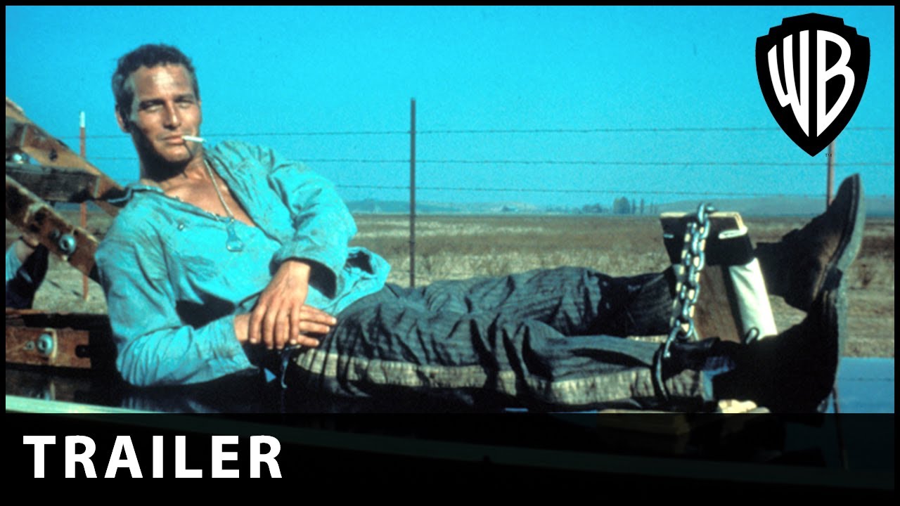 Cool Hand Luke - 4K Ultra HD - Warner Bros. UK & Ireland