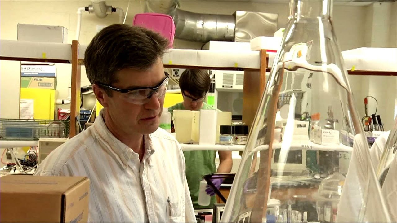 Welcome to the College of Agriculture and Life Sciences