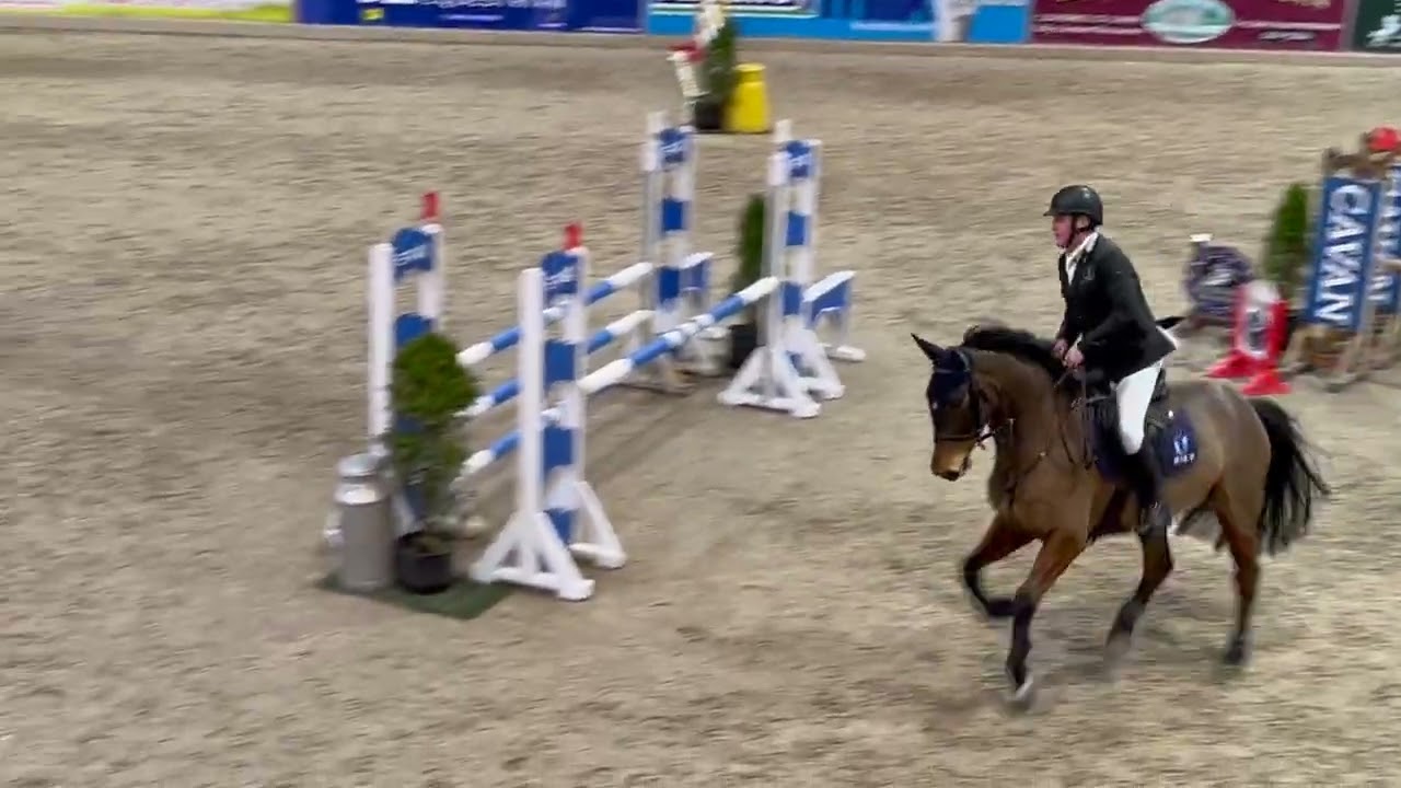 Cushlas Du Mondale - Cavan 1.1m