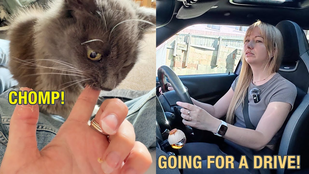 Getting My Fingers Chewed Off! & First Filmed Drive!