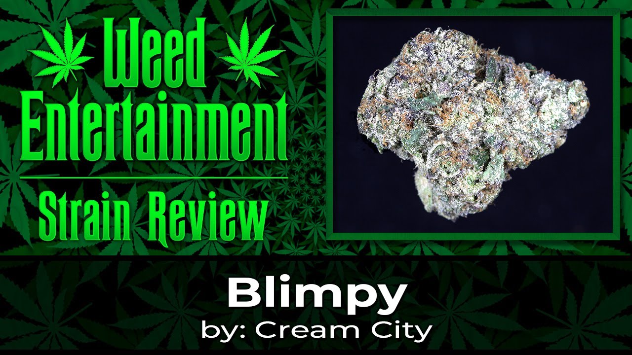 Blimpy - by Cream City - Strain Review - December 2022