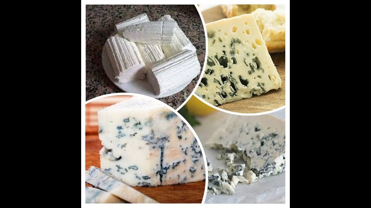 تعالي وفري واعملي الجبنه الريكفورد في البيت