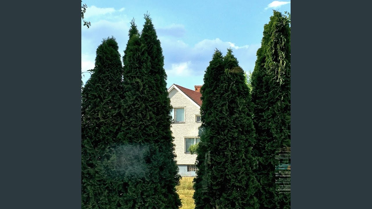 Kraut Blues