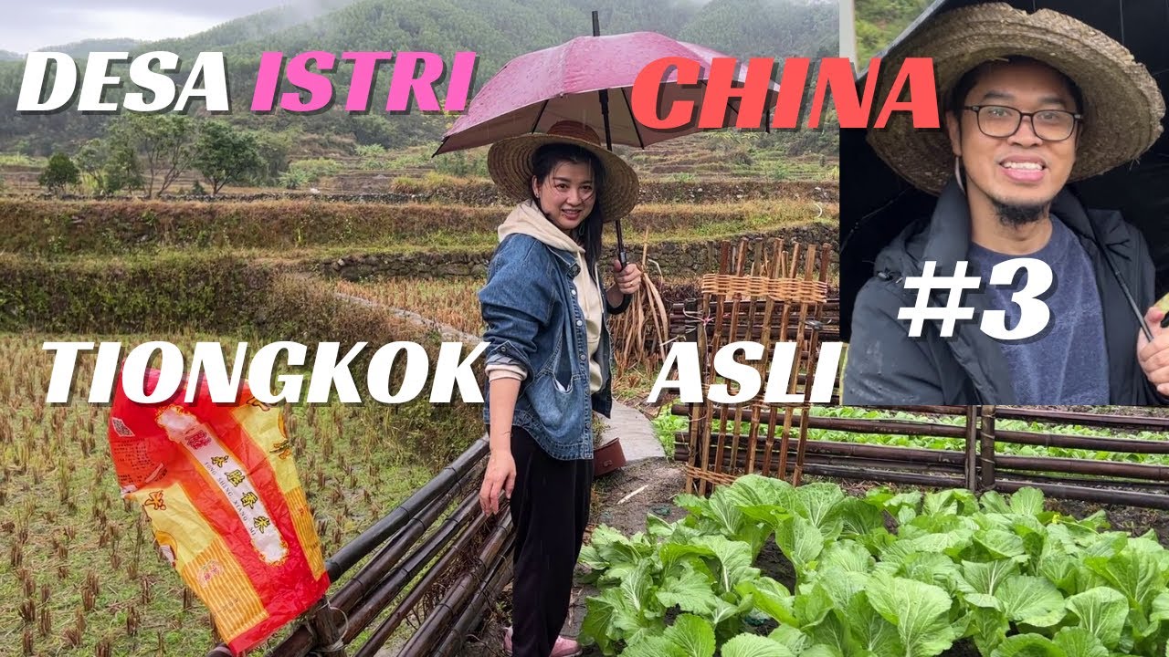 #3 Desa ISTRI Tiongkok, Sawah di Gunung Berkabut