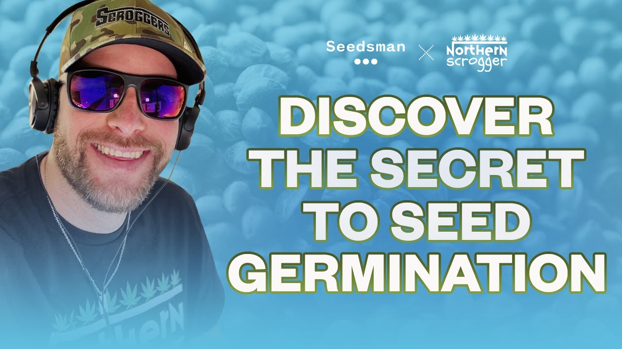 Mastering Seed Germination: A Step-by-Step Guide by Northern Scrogger