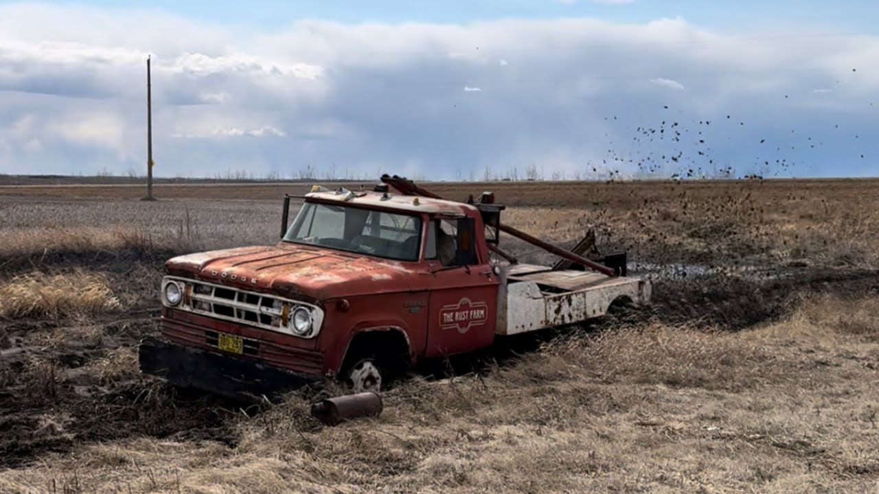 Abandoned Tow Truck Finally gets fixed and then sent through the mud pit!