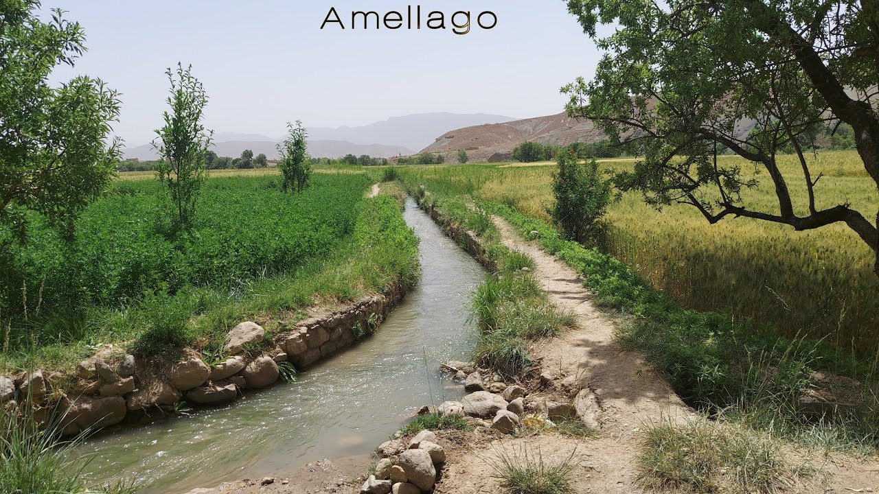 Tamazirt Amellago Mai تامزيرت أملاكو