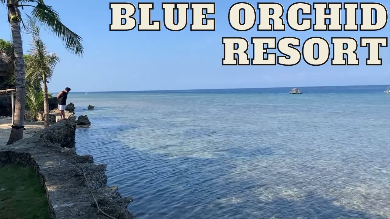 The Blue Orchid Resort || Vlog #62 (April 3, 2021)
