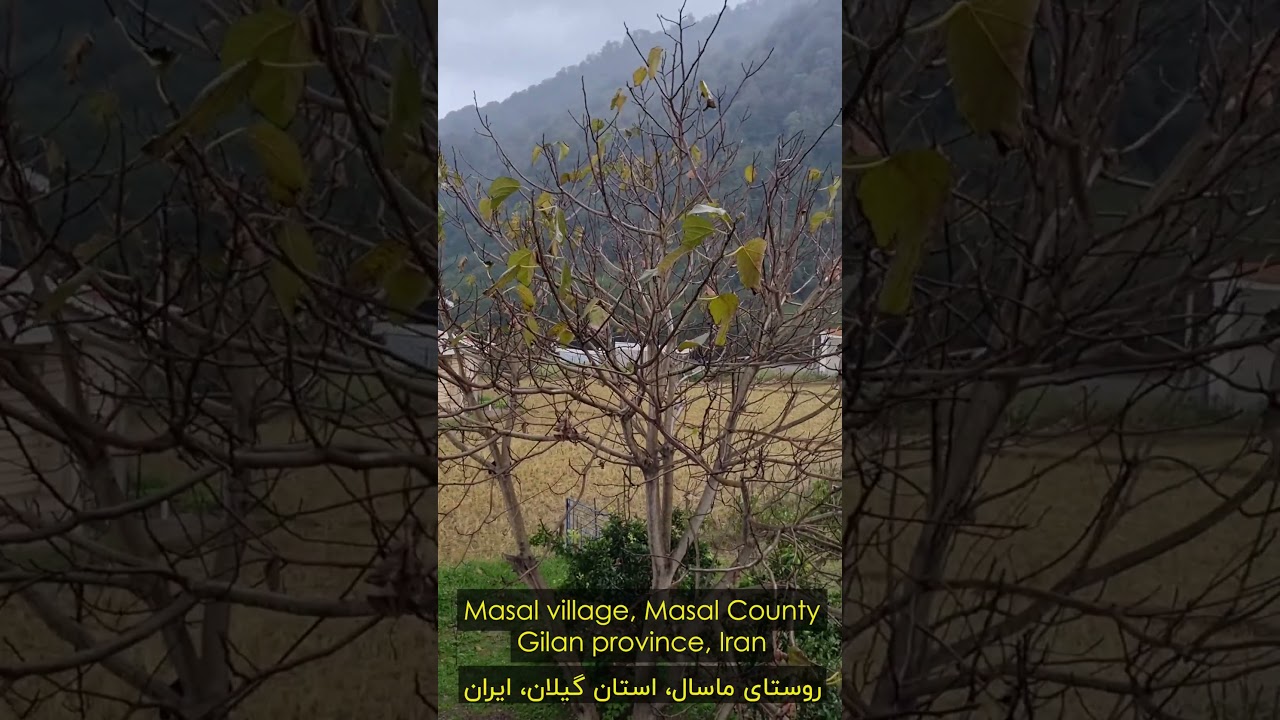 masal village gilan province iran #part4