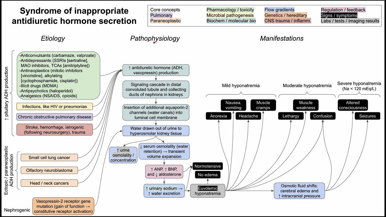 SIADH (mechanism of disease)