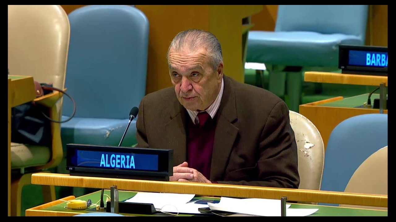 Заявление посла Бенджамы на совместном брифинге председателей Генеральной Ассамблеи и ЭКОСОК