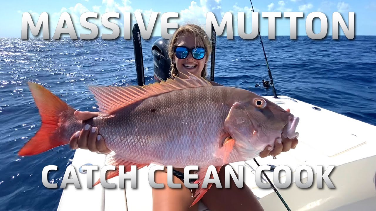 NO GROCERY STORES NEEDED! Florida Keys Islamorada Mutton Snapper Reef Fishing (Catch Clean Cook).