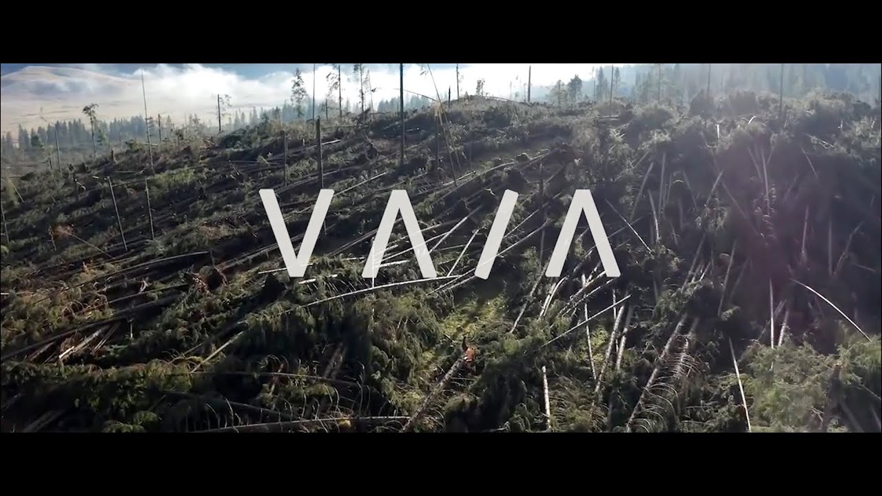 VAIA - Wind / Storm / Falling Trees