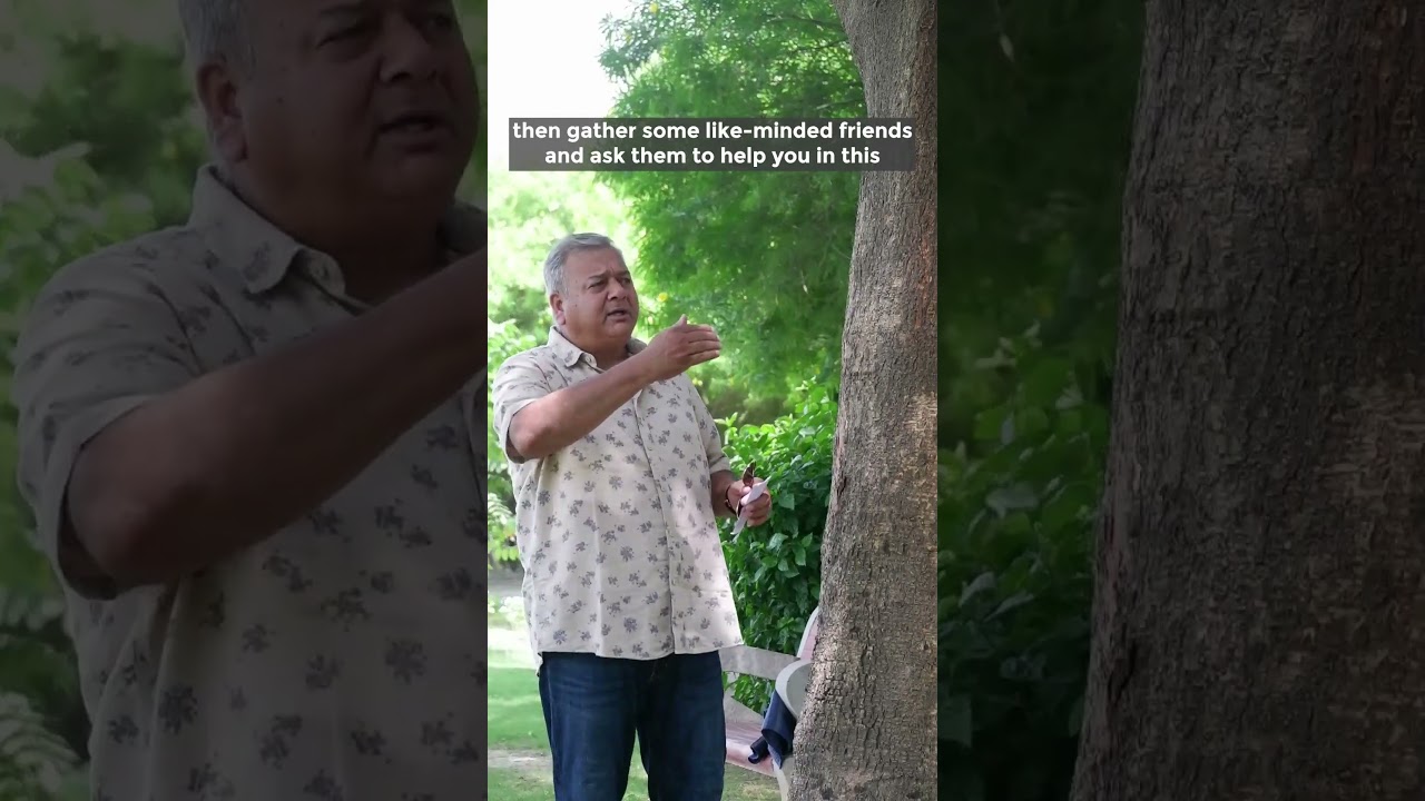 What to do when you see a tree being cut