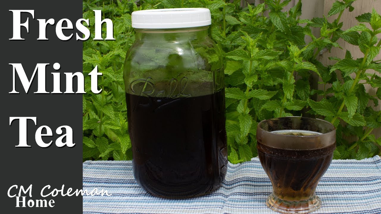 Fresh Mint Sweet Tea