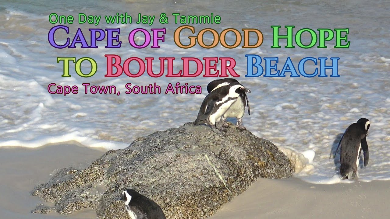 One Day seeing Bo-Kaap, the Cape of Good Hope and African Penguins
