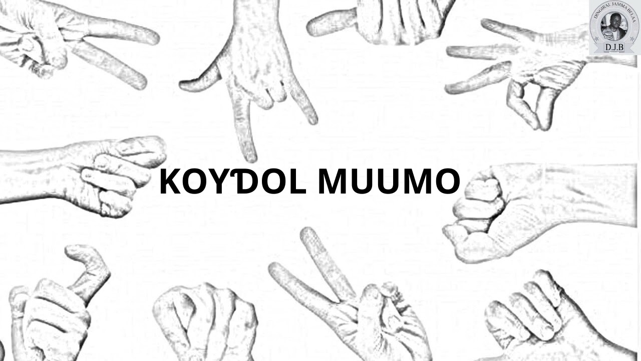 Koyɗol muumo 3