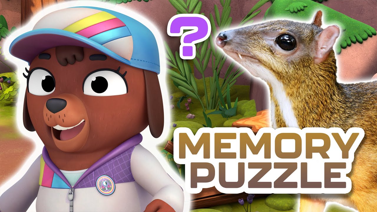 Creature Cases - 🐇 Can You Find All the Missing Animals? 👀 | Forest Level | Memory Games for Kids